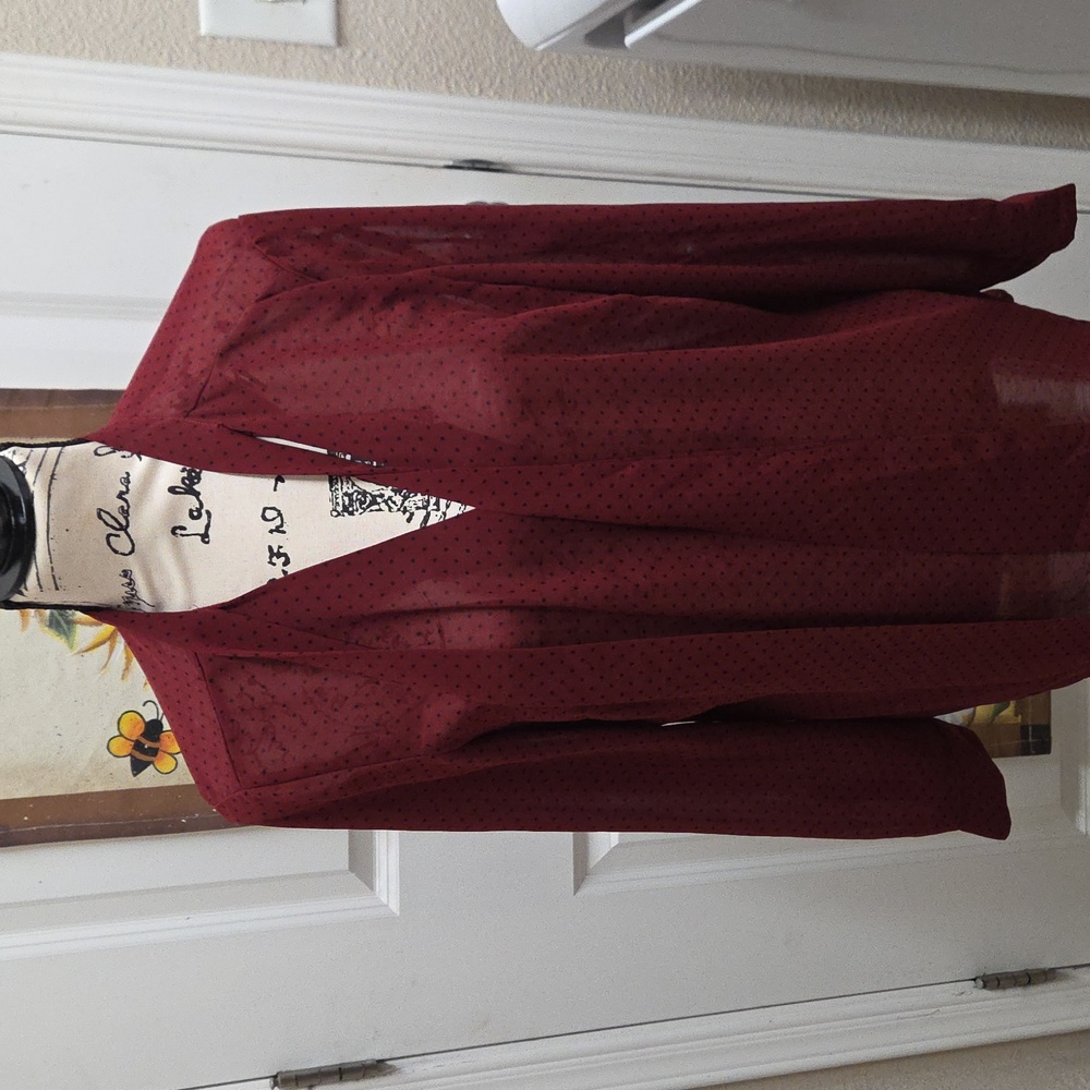 Women's Burgundy Sheer V-Neck Blouse